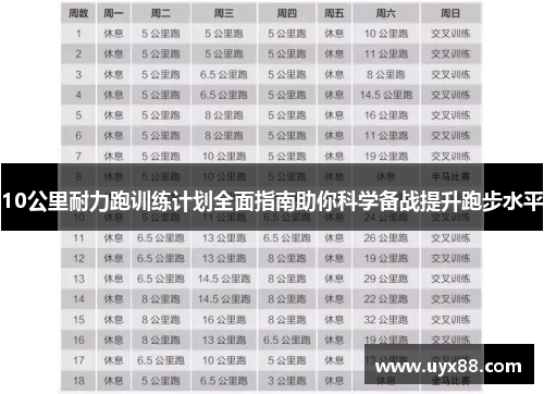 10公里耐力跑训练计划全面指南助你科学备战提升跑步水平